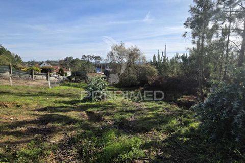 Helårsgrund i Leiria, Leiria, Leiria - € 59.000 | Ref: 056810 - foto 25