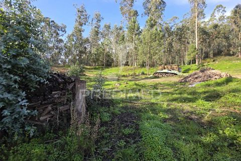 Helårsgrund i Leiria, Leiria, Leiria - € 59.000 | Ref: 056810 - foto 26