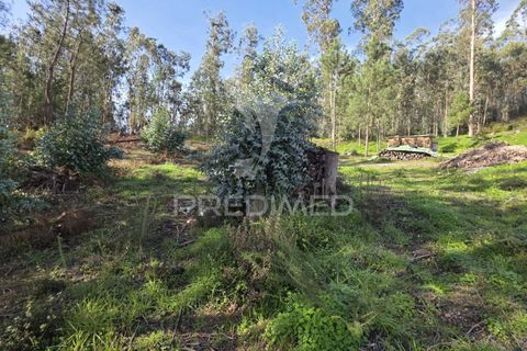 Helårsgrund i Leiria, Leiria, Leiria - € 59.000 | Ref: 056810 - foto 27
