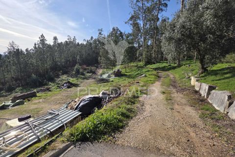 Helårsgrund i Leiria, Leiria, Leiria - € 59.000 | Ref: 056810 - foto 29