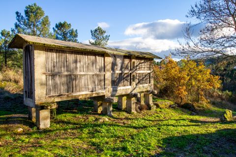 Farm hus i Vila Real, Vila Real, Vila Real - € 2.600.000 | Ref: 056827 - foto 4