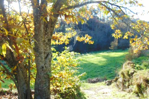 Farm hus i Vila Real, Vila Real, Vila Real - € 2.600.000 | Ref: 056827 - foto 5