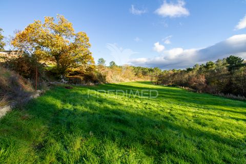 Farm hus i Vila Real, Vila Real, Vila Real - € 2.600.000 | Ref: 056827 - foto 6