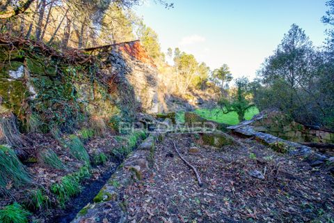 Farm hus i Vila Real, Vila Real, Vila Real - € 2.600.000 | Ref: 056827 - foto 8