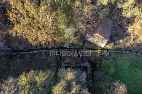 Farm hus i Vila Real, Vila Real, Vila Real - € 2.600.000 | Ref: 056827 - foto 9