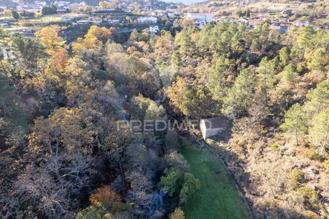 Farm hus i Vila Real, Vila Real, Vila Real - € 2.600.000 | Ref: 056827 - foto 10