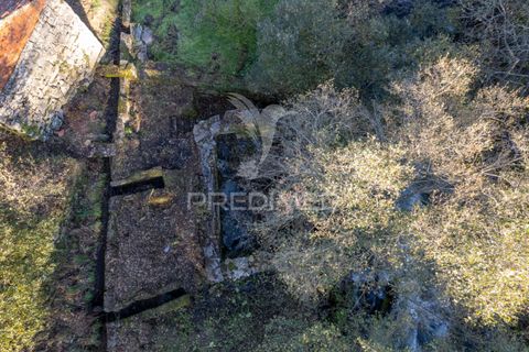 Farm hus i Vila Real, Vila Real, Vila Real - € 2.600.000 | Ref: 056827 - foto 11