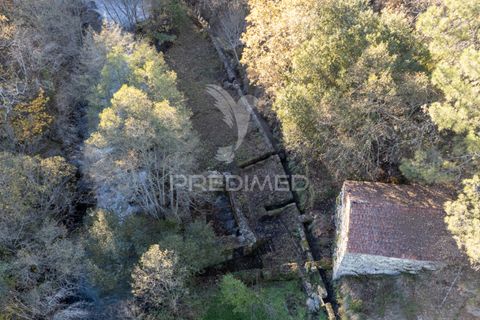 Farm hus i Vila Real, Vila Real, Vila Real - € 2.600.000 | Ref: 056827 - foto 12