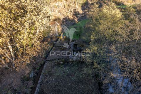 Farm hus i Vila Real, Vila Real, Vila Real - € 2.600.000 | Ref: 056827 - foto 13