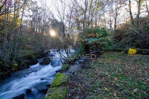 Farm hus i Vila Real, Vila Real, Vila Real - € 2.600.000 | Ref: 056827 - foto 14