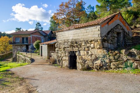 Farm hus i Vila Real, Vila Real, Vila Real - € 2.600.000 | Ref: 056827 - foto 15