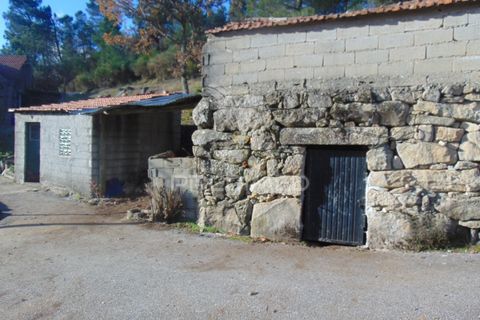Farm hus i Vila Real, Vila Real, Vila Real - € 2.600.000 | Ref: 056827 - foto 16