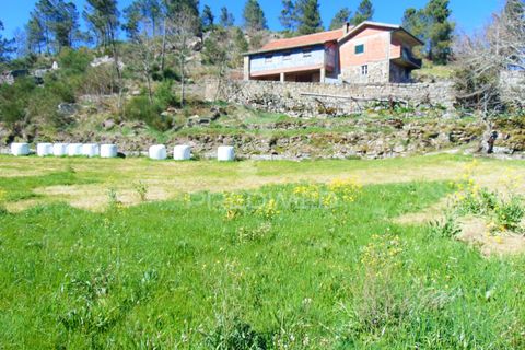 Farm hus i Vila Real, Vila Real, Vila Real - € 2.600.000 | Ref: 056827 - foto 24