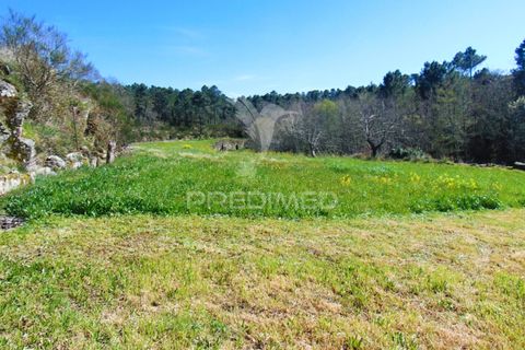 Farm hus i Vila Real, Vila Real, Vila Real - € 2.600.000 | Ref: 056827 - foto 25