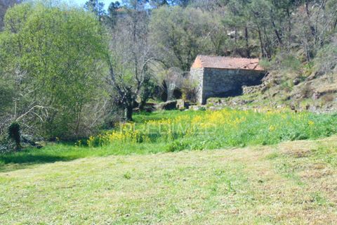 Farm hus i Vila Real, Vila Real, Vila Real - € 2.600.000 | Ref: 056827 - foto 26