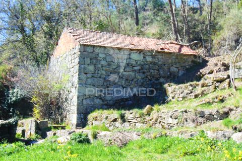 Farm hus i Vila Real, Vila Real, Vila Real - € 2.600.000 | Ref: 056827 - foto 27