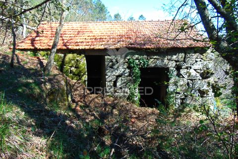Farm hus i Vila Real, Vila Real, Vila Real - € 2.600.000 | Ref: 056827 - foto 28