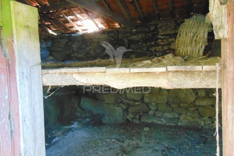 Farm hus i Vila Real, Vila Real, Vila Real - € 2.600.000 | Ref: 056827 - foto 29