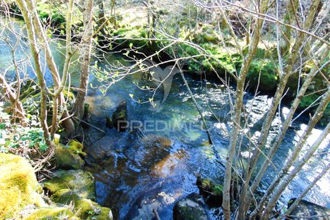 Farm hus i Vila Real, Vila Real, Vila Real - € 2.600.000 | Ref: 056827 - foto 33
