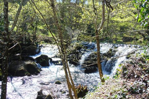 Farm hus i Vila Real, Vila Real, Vila Real - € 2.600.000 | Ref: 056827 - foto 34