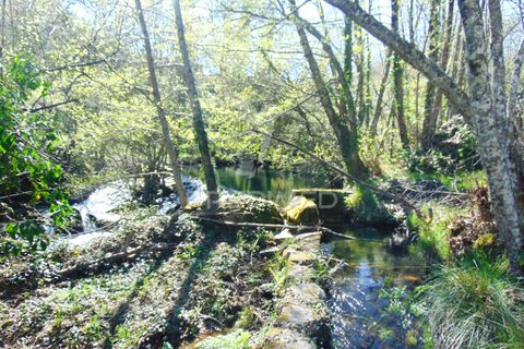 Farm hus i Vila Real, Vila Real, Vila Real - € 2.600.000 | Ref: 056827 - foto 35