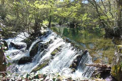 Farm hus i Vila Real, Vila Real, Vila Real - € 2.600.000 | Ref: 056827 - foto 36