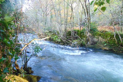Farm hus i Vila Real, Vila Real, Vila Real - € 2.600.000 | Ref: 056827 - foto 37