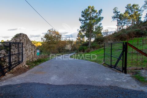 Farm hus i Vila Real, Vila Real, Vila Real - € 2.600.000 | Ref: 056827 - foto 40