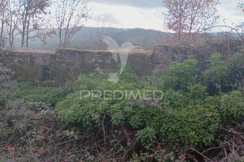 Byhus i Arouca, Aveiro, Arouca - € 139.700 | Ref: 056849 - foto 32