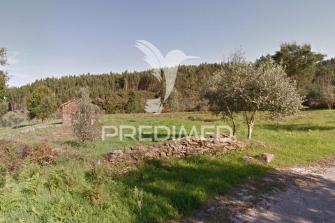 Ruinere i Serta, Castelo Branco, Serta - € 45.000 | Ref: 057079 - foto 2