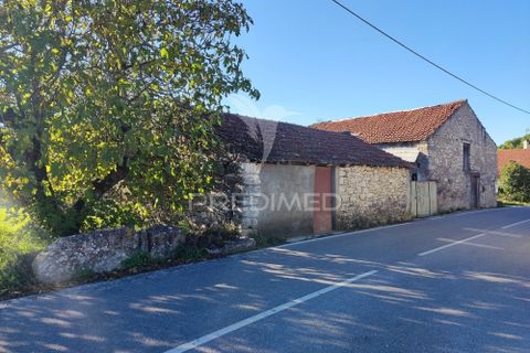 Helårsgrund i Ourem, Santarem, Ourem - € 60.000 | Ref: 057096 - foto 1