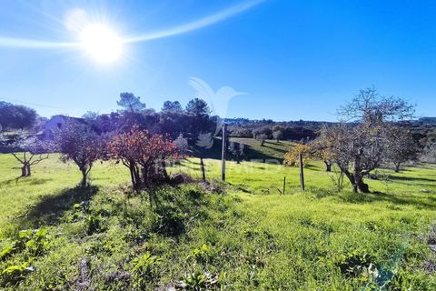 Helårsgrund i Ourem, Santarem, Ourem - € 60.000 | Ref: 057096 - foto 4