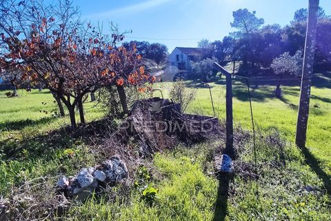 Helårsgrund i Ourem, Santarem, Ourem - € 60.000 | Ref: 057096 - foto 5