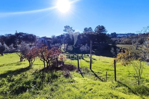 Helårsgrund i Ourem, Santarem, Ourem - € 60.000 | Ref: 057096 - foto 6