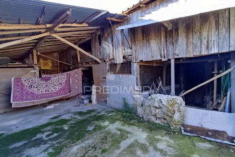 Helårsgrund i Ourem, Santarem, Ourem - € 60.000 | Ref: 057096 - foto 7