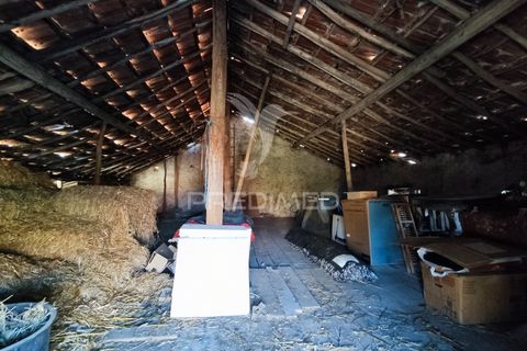 Helårsgrund i Ourem, Santarem, Ourem - € 60.000 | Ref: 057096 - foto 9