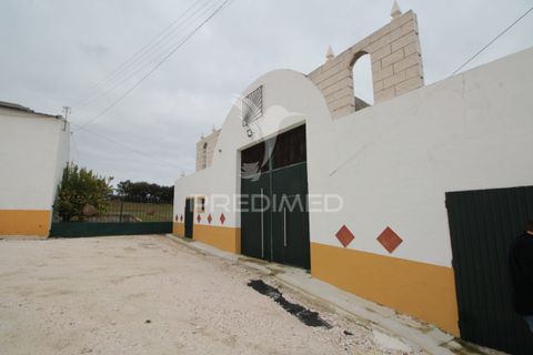 Helårsgrund i Sousel, Portalegre, Sousel - € 395.000 | Ref: 057138 - foto 3