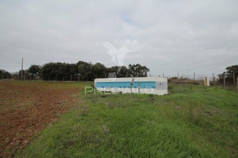 Helårsgrund i Sousel, Portalegre, Sousel - € 395.000 | Ref: 057138 - foto 5