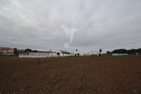 Helårsgrund i Sousel, Portalegre, Sousel - € 395.000 | Ref: 057138 - foto 7