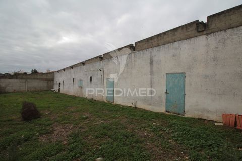 Helårsgrund i Sousel, Portalegre, Sousel - € 395.000 | Ref: 057138 - foto 8