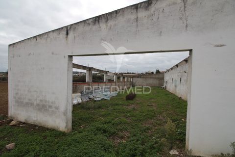 Helårsgrund i Sousel, Portalegre, Sousel - € 395.000 | Ref: 057138 - foto 9