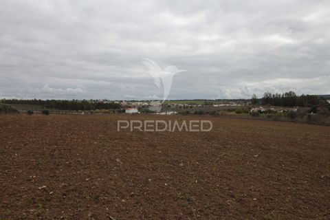 Helårsgrund i Sousel, Portalegre, Sousel - € 395.000 | Ref: 057138 - foto 10