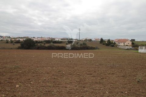 Helårsgrund i Sousel, Portalegre, Sousel - € 395.000 | Ref: 057138 - foto 11