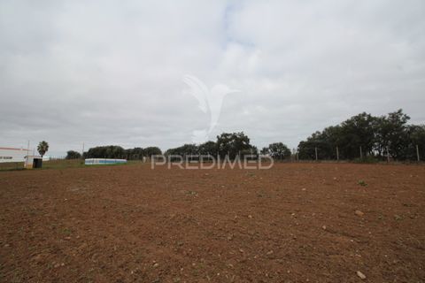 Helårsgrund i Sousel, Portalegre, Sousel - € 395.000 | Ref: 057138 - foto 12