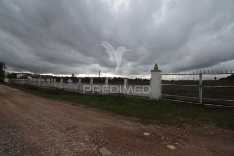 Helårsgrund i Sousel, Portalegre, Sousel - € 395.000 | Ref: 057138 - foto 24