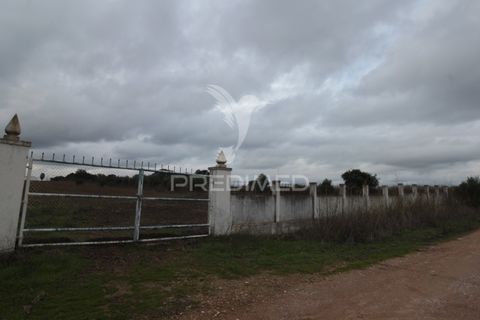 Helårsgrund i Sousel, Portalegre, Sousel - € 395.000 | Ref: 057138 - foto 25