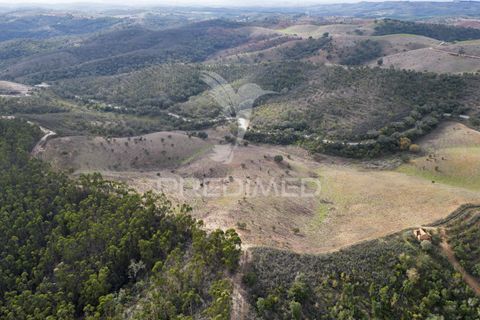 Farm hus i Odemira, Beja, Odemira - € 420.000 | Ref: 057354 - foto 2