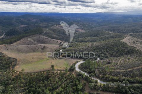 Farm hus i Odemira, Beja, Odemira - € 420.000 | Ref: 057354 - foto 3