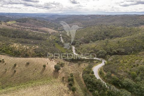 Farm hus i Odemira, Beja, Odemira - € 420.000 | Ref: 057354 - foto 11