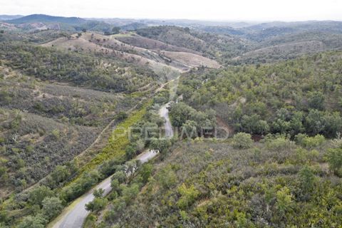Farm hus i Odemira, Beja, Odemira - € 420.000 | Ref: 057354 - foto 13